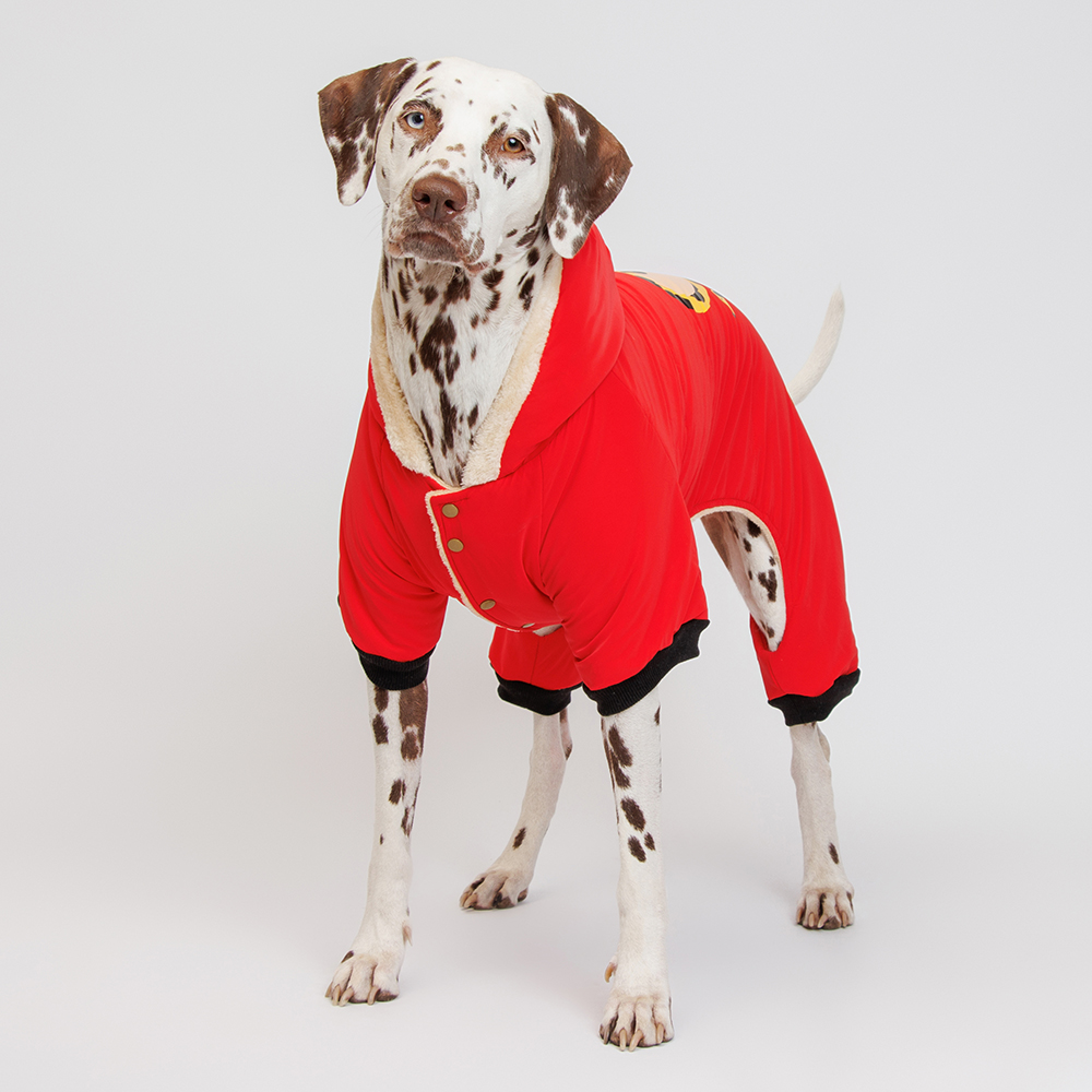 

Petmax Комбинезон с капюшоном для собак, 5XL, красный (унисекс)