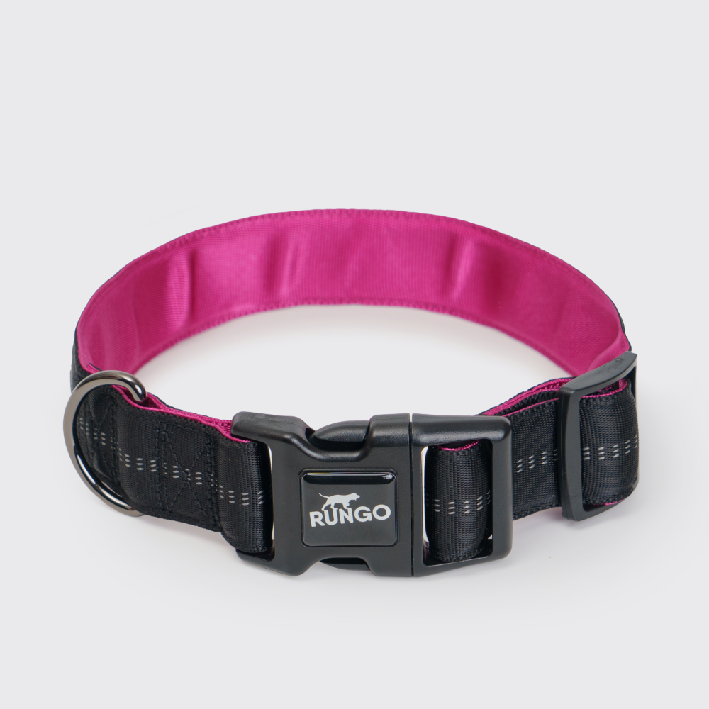 Rungo Ошейник Downtown Extra Wide M-L 4055cm38mm черный с орхидеей 683₽