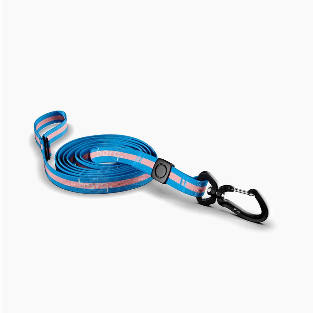 

Barq Поводок для собак Stripes Sling Sky Tender, 3 м, голубо-розовый
