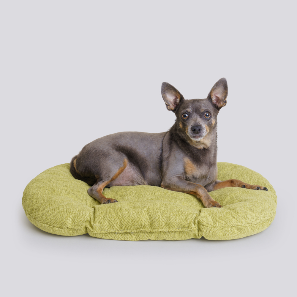 Rurri Матрас овальный для кошек и собак мелких пород 55х36х6 см салатовый 699₽