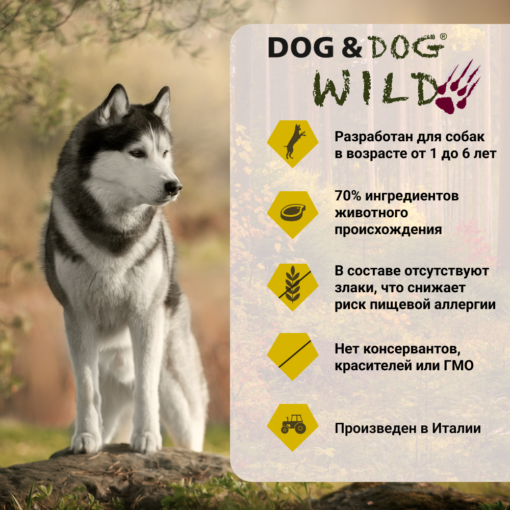 

Dog & Dog Wild Regional Farm Сухой корм для собак, с курицей, уткой и кроликом, 2 кг