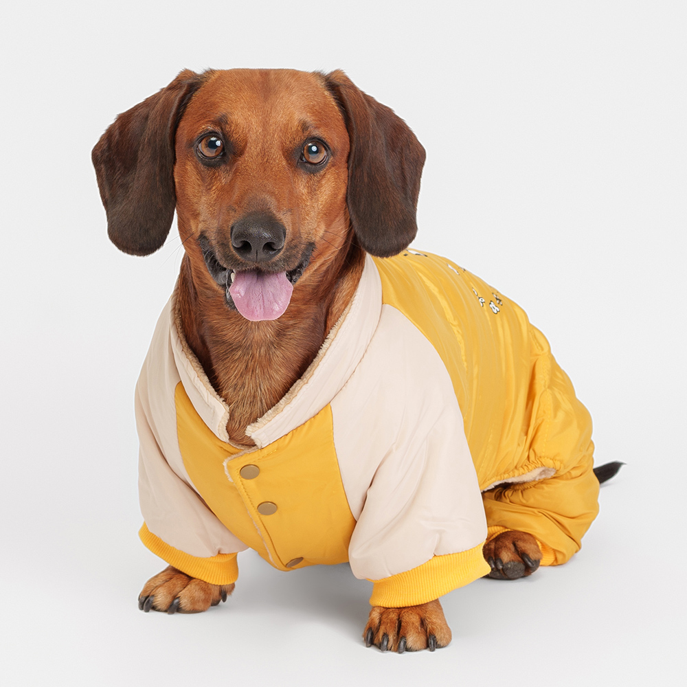 Petmax Комбинезон для собак, XL, желтый (мальчик)
