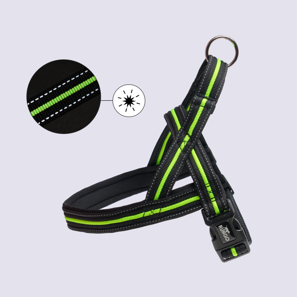 Rungo Шлейка для собак со светоотражающей полоской Norway, обхват груди 53-66 см, ширина ремешка 3,5 см, черно-зеленый
