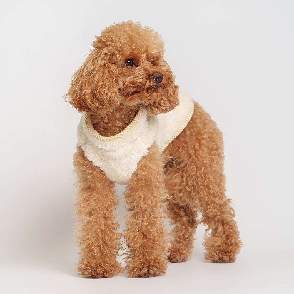 Rurri Жилетка пальто на замке для собак XL желтое 799₽