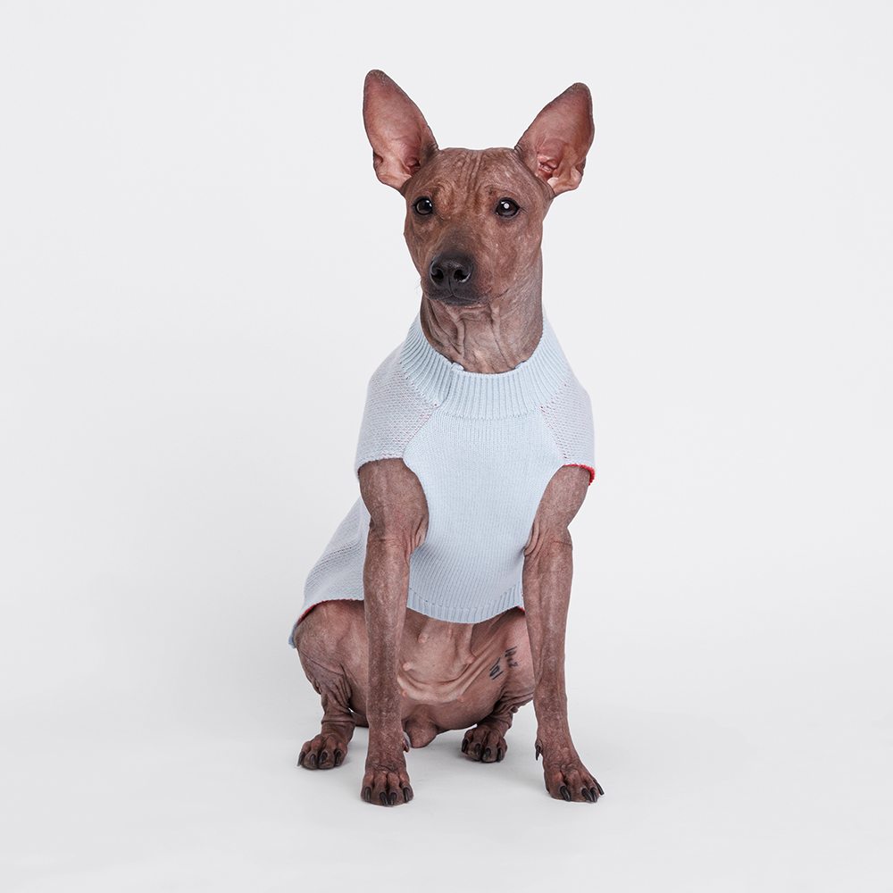 

Petmax Свитер с оленем для собак, XL, 36 см, голубой