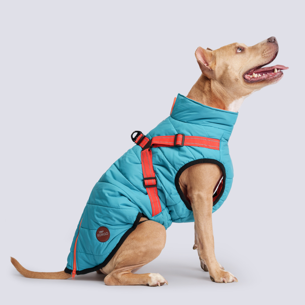 Rungo Попона теплая со шлейкой голубая 2XL