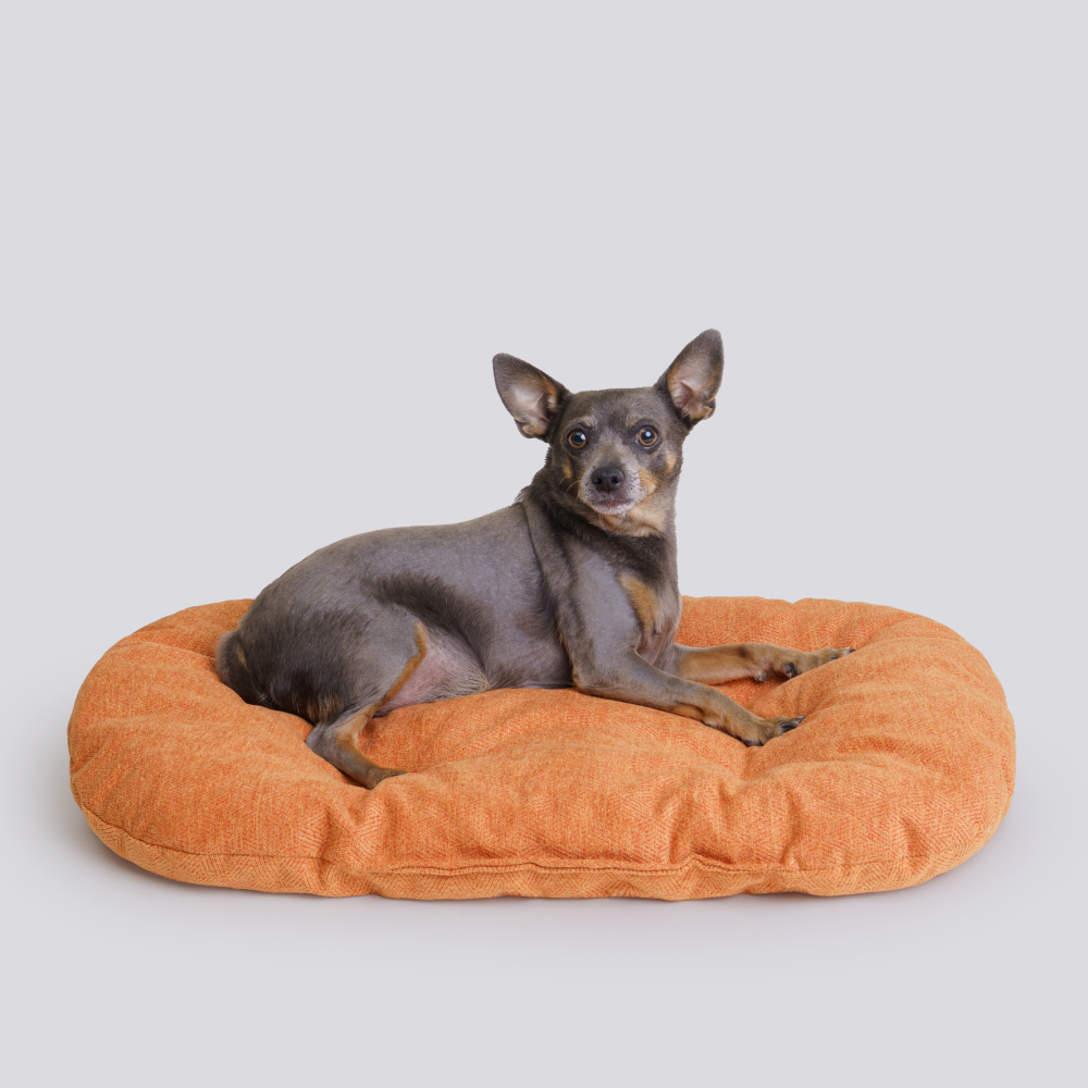 Rurri Матрас овальный для кошек и собак мелких и средних пород 65х42 см терракотовый 899₽