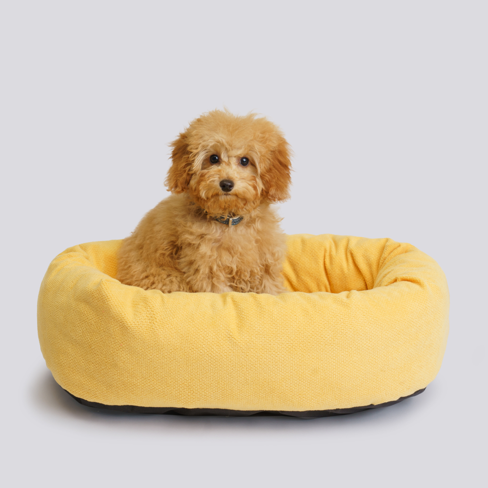 Rurri Лежак овальный для кошек и собак мелких пород 61х48х17 см желтый 2399₽