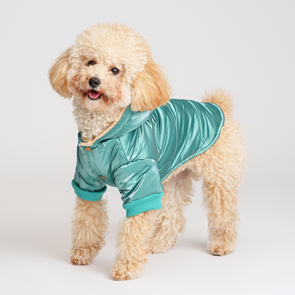 Petmax Куртка с капюшоном для собак XL зеленая 1399₽