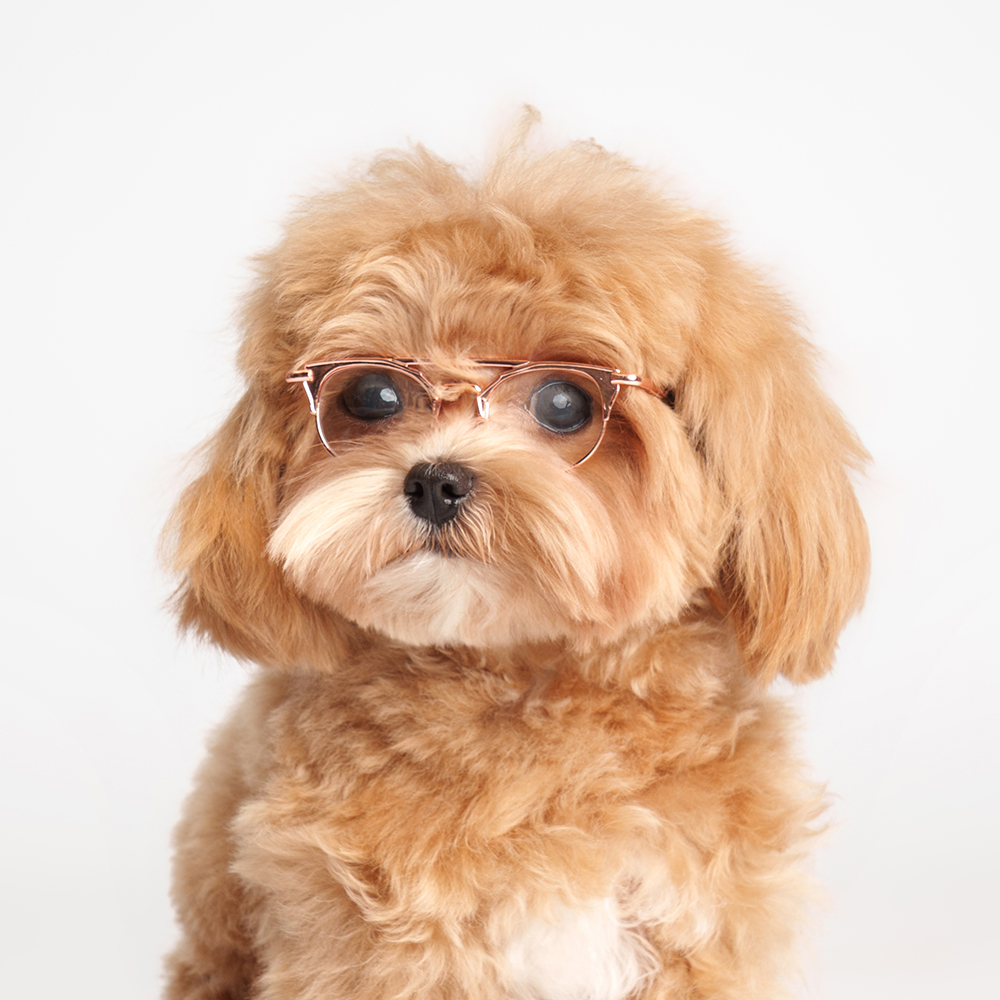 Rurri Очки ретро 479₽