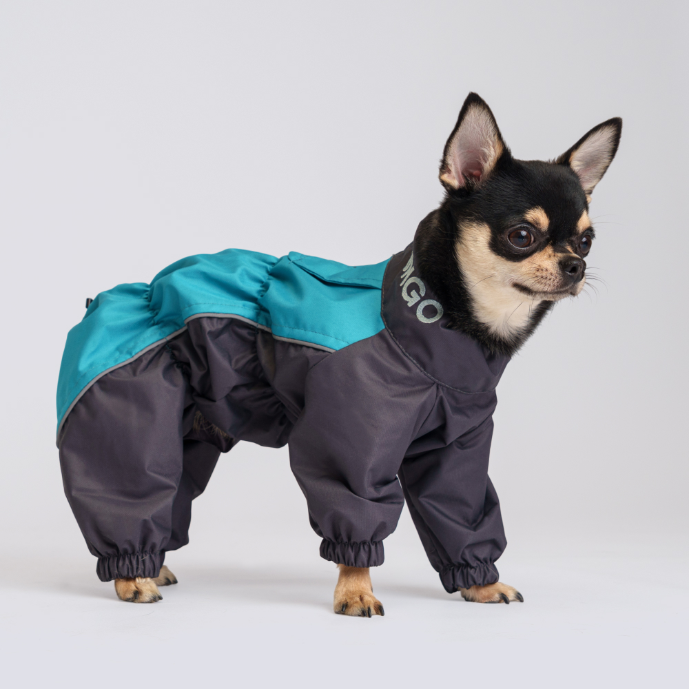 Rungo Дождевик для собак пород чихуахуа, йорк, обхват шеи 42 см, обхват груди 62 см, длина спины 37 см, бирюза (мальчик)