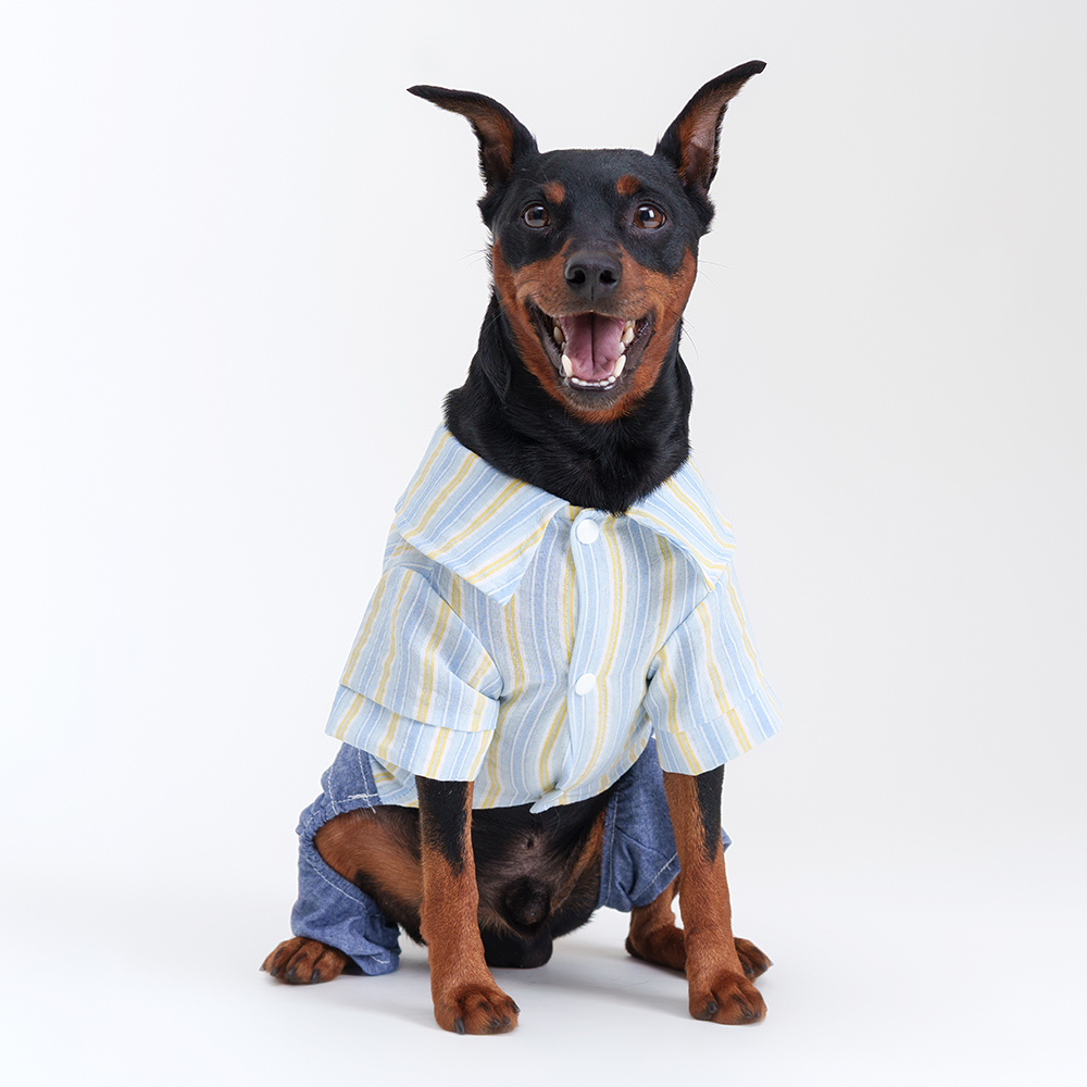 Rurri Костюм джинсовый с рубашкой L 949₽