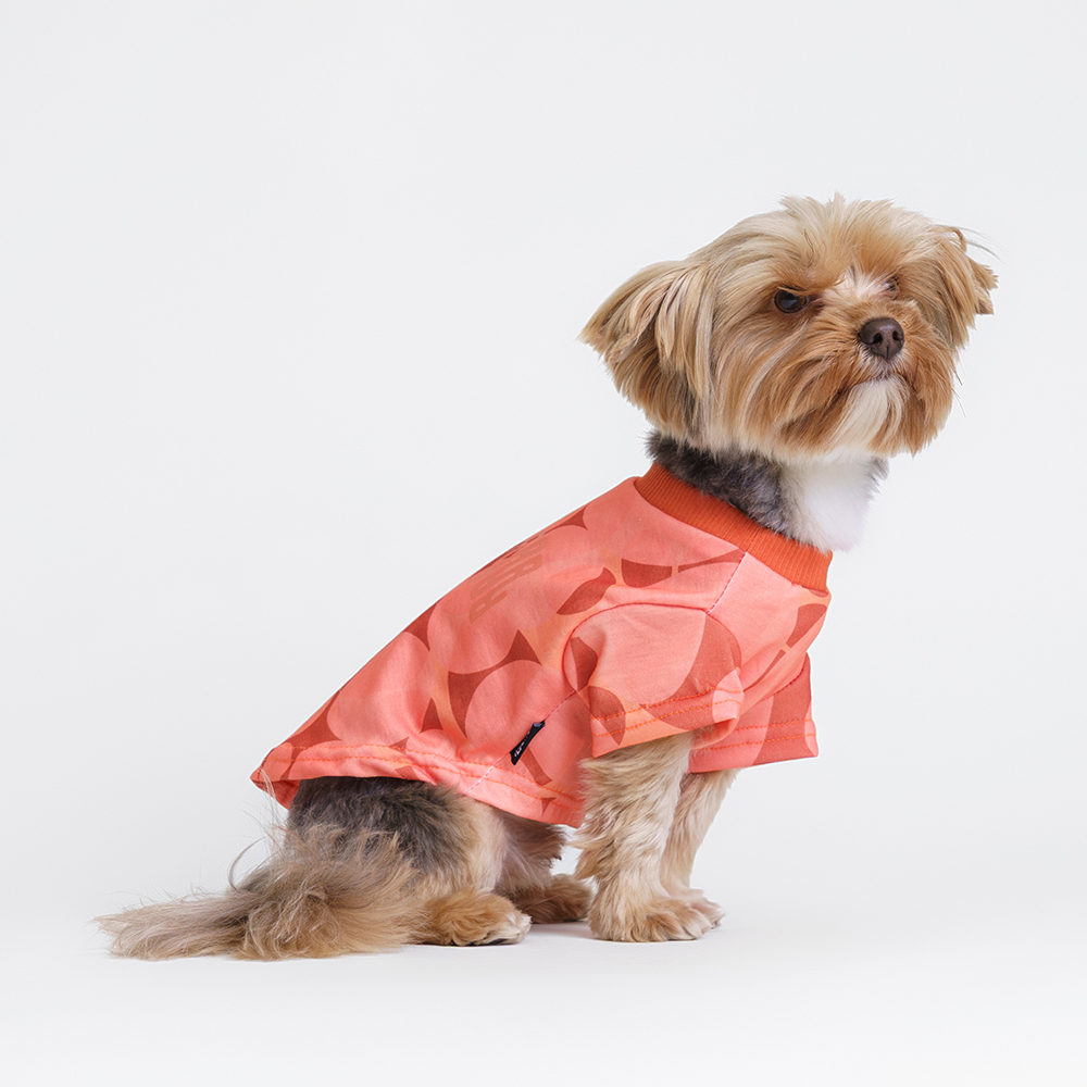 Rurri Футболка оранжевая M 799₽