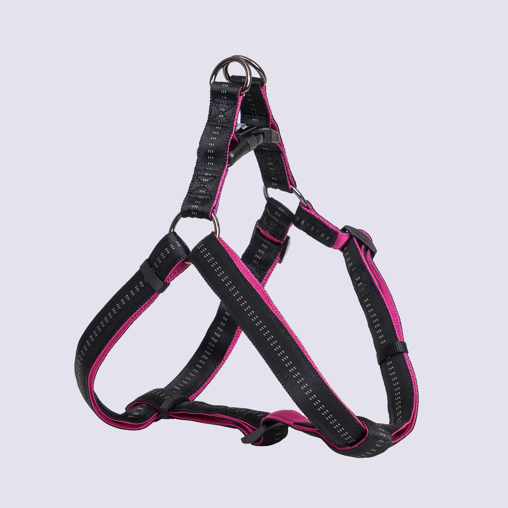 Rungo Шлейка Step-in Downtown XL 25mmx80-100cm черный с орхидеей 1219₽