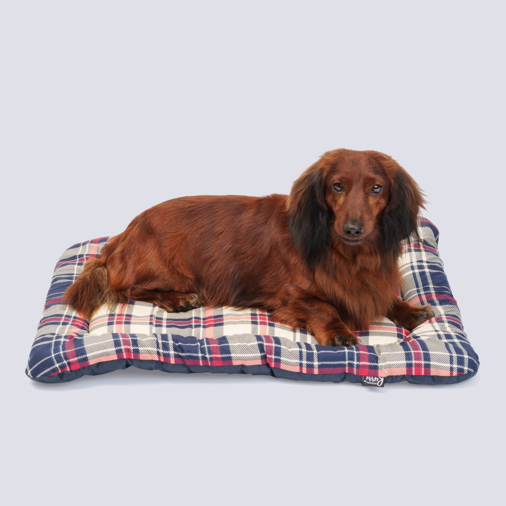 Rurri Матрас Навара 1 для кошек и собак мелких пород 54х39х5 см синий 1099₽