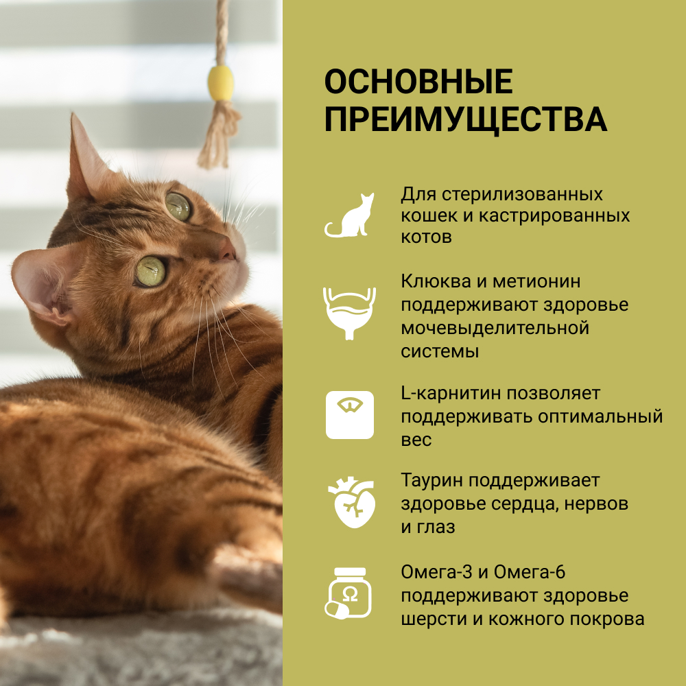 Корм Wellkiss Для Стерилизованных Купить