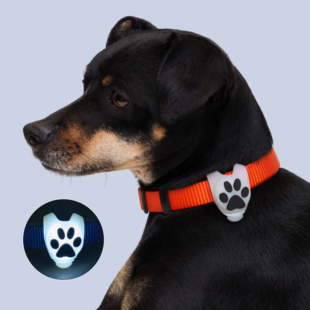 HiPet Маячок силиконовый белый Лапка 477₽