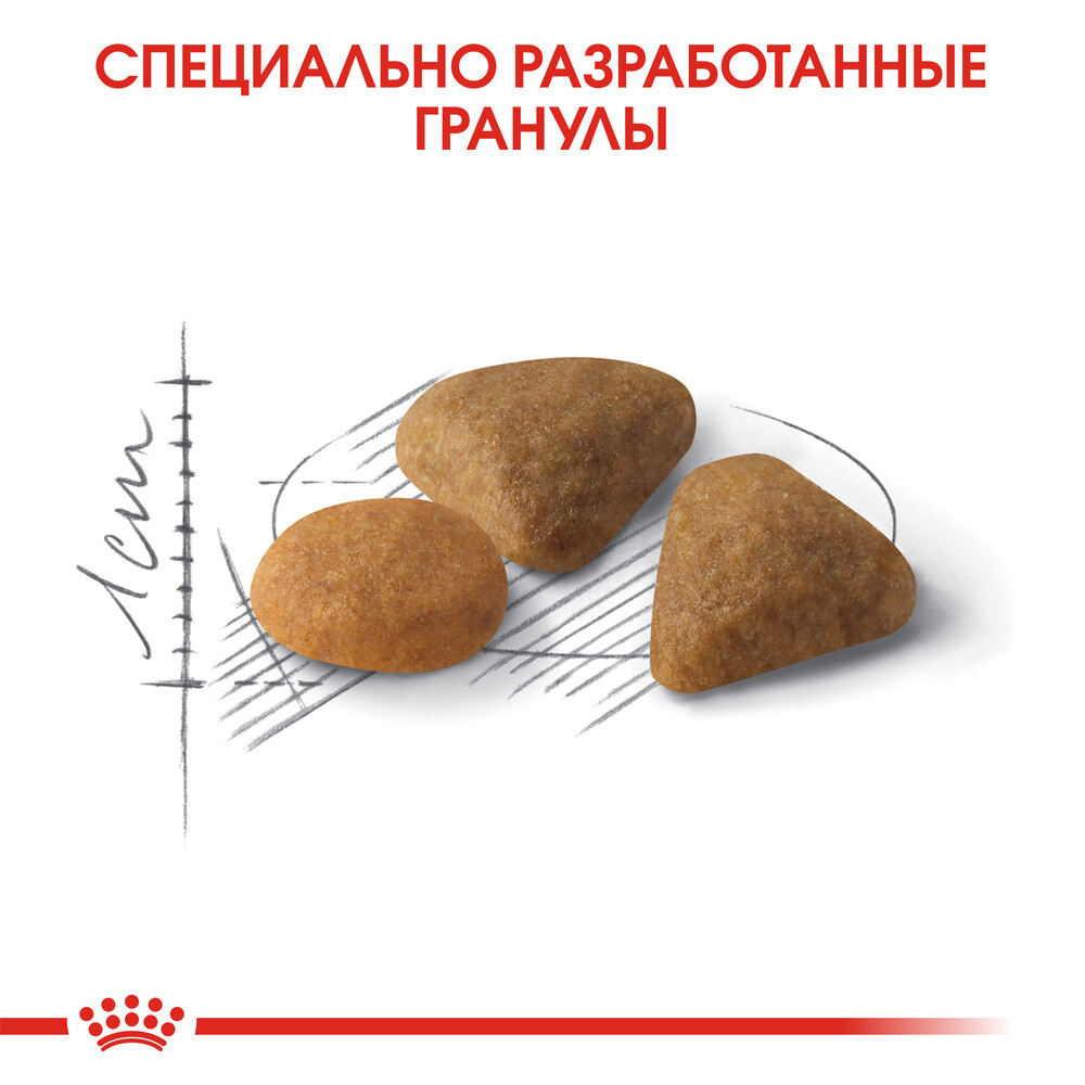 

Royal Canin Exigent 35/30 Savour Сухой корм для кошек привередливых к вкусу продукта, 2 кг