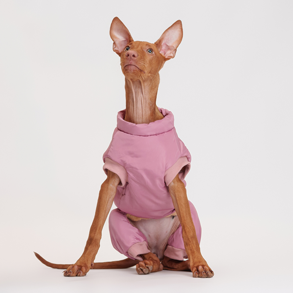 Petmax Комбинезон на замке для собак XL розовый девочка 1399₽