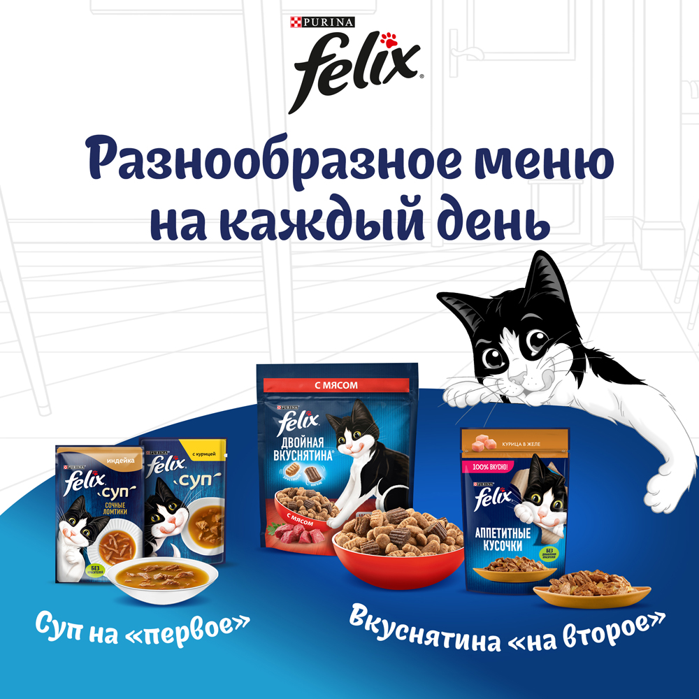 

Felix Cухой корм для взрослых кошек Двойная вкуснятина, с птицей, 600 гр.