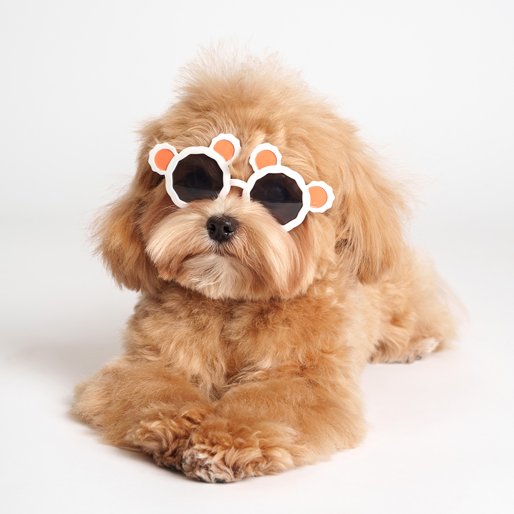 Rurri Очки мишка 499₽