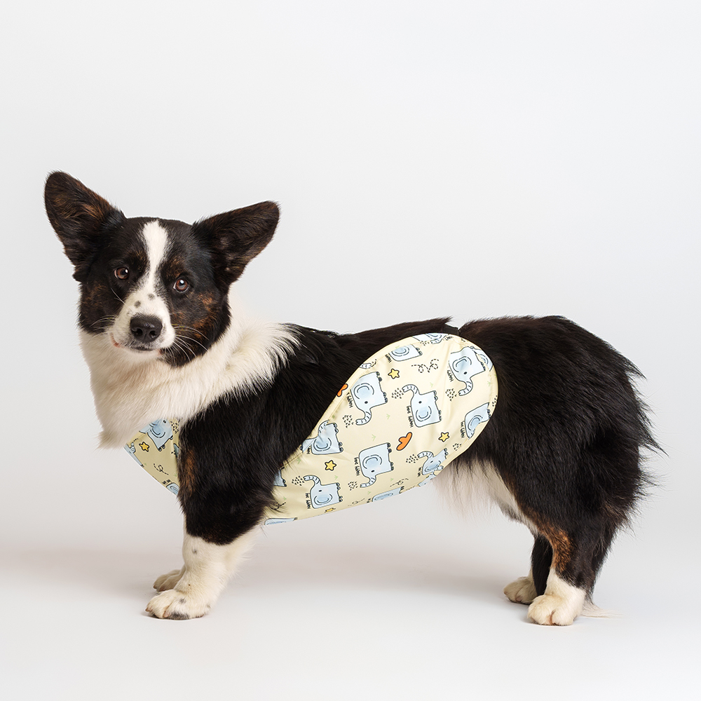 Petmax Дождевик-фартук желтый мальчик L 499₽