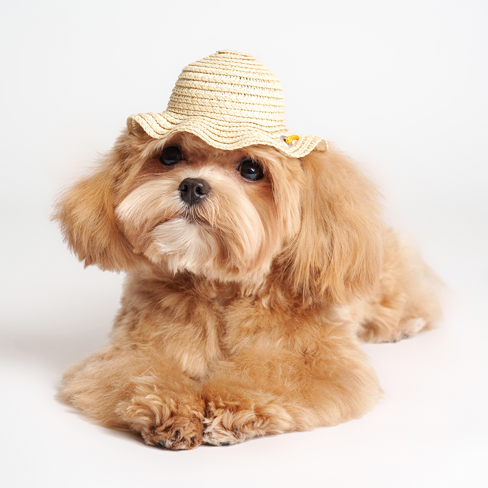 Rurri Шляпка соломенная 17см 639₽