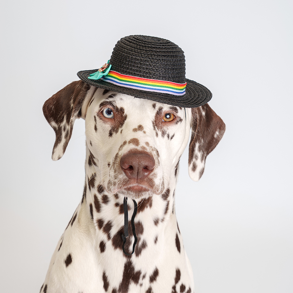 Rurri Шляпка серая с бантом 17см 827₽