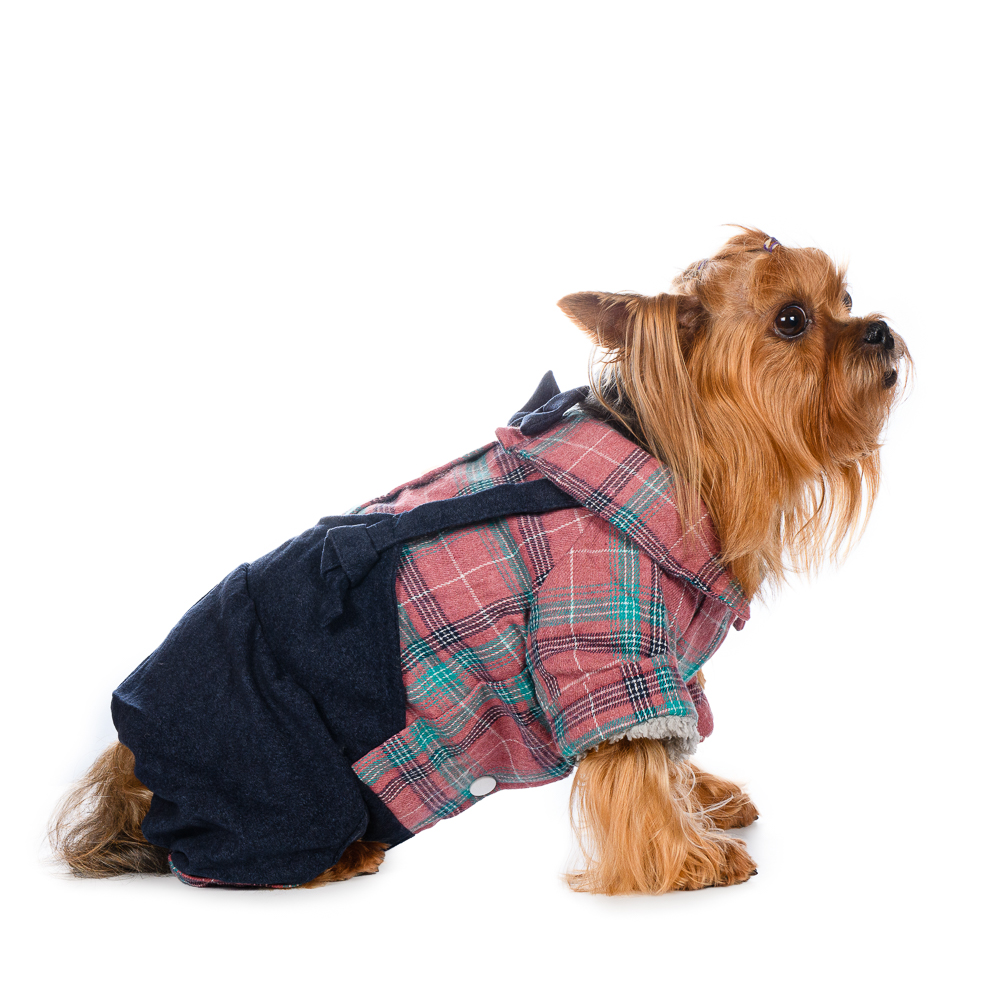 

Petmax Костюм с рубашкой для собак XS розовый (девочка)