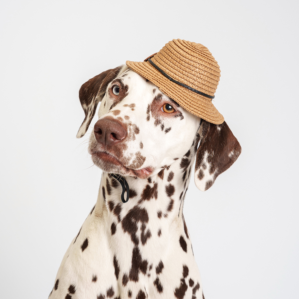 Rurri Шляпка 15 см с изображением 799₽